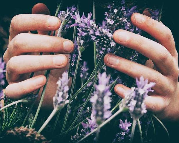 4 запаха, помогающих побороть стресс и стать добрее